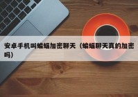 安卓手机叫蝙蝠加密聊天（蝙蝠聊天真的加密吗）