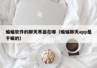 蝙蝠软件的聊天界面在哪（蝙蝠聊天app是干嘛的）