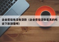 企业密信有没有贷款（企业密信贷款是真的吗说下款到借呗）