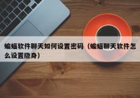 蝙蝠软件聊天如何设置密码（蝙蝠聊天软件怎么设置隐身）
