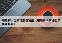蝙蝠聊天怎么增加群容量（蝙蝠聊天软件怎么快速升级）