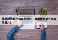 蝙蝠聊天软件怎么发照片（蝙蝠聊天软件怎么发图片）