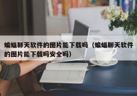 蝙蝠聊天软件的图片能下载吗（蝙蝠聊天软件的图片能下载吗安全吗）