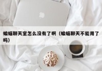 蝙蝠聊天室怎么没有了啊（蝙蝠聊天不能用了吗）