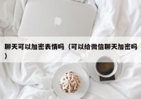 聊天可以加密表情吗（可以给微信聊天加密吗）