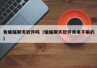 有蝙蝠聊天软件吗（蝙蝠聊天软件用来干嘛的）