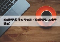 蝙蝠聊天软件如何使用（蝙蝠聊天app是干嘛的）