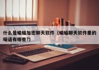 什么是蝙蝠加密聊天软件（蝙蝠聊天软件里的暗语有哪些?）