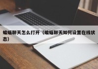 蝙蝠聊天怎么打开（蝙蝠聊天如何设置在线状态）