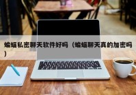 蝙蝠私密聊天软件好吗（蝙蝠聊天真的加密吗）