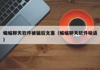 蝙蝠聊天软件被骗后文案（蝙蝠聊天软件暗语）
