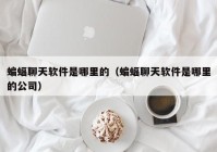 蝙蝠聊天软件是哪里的（蝙蝠聊天软件是哪里的公司）