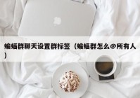 蝙蝠群聊天设置群标签（蝙蝠群怎么@所有人）