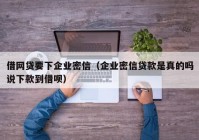 借网贷要下企业密信（企业密信贷款是真的吗说下款到借呗）