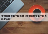 微信能加密某个聊天吗（微信能加密某个聊天吗安全吗）