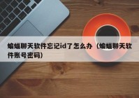 蝙蝠聊天软件忘记id了怎么办（蝙蝠聊天软件账号密码）