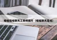 蝙蝠指啥聊天工具呀图片（蝙蝠聊天是啥）
