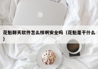 花魁聊天软件怎么样啊安全吗（花魁是干什么）
