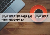 华为有聊天支付软件吗安全吗（华为有聊天支付软件吗安全吗苹果）