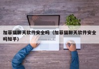 加菲猫聊天软件安全吗（加菲猫聊天软件安全吗知乎）
