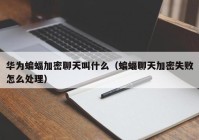 华为蝙蝠加密聊天叫什么（蝙蝠聊天加密失败怎么处理）