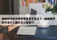 蝙蝠聊天软件突然消息发不出去了（蝙蝠聊天软件发不了图片怎么回事?）