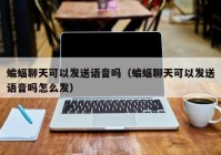 蝙蝠聊天可以发送语音吗（蝙蝠聊天可以发送语音吗怎么发）