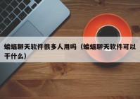 蝙蝠聊天软件很多人用吗（蝙蝠聊天软件可以干什么）