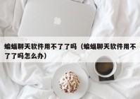 蝙蝠聊天软件用不了了吗（蝙蝠聊天软件用不了了吗怎么办）