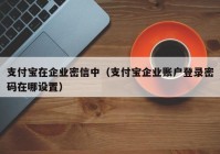 支付宝在企业密信中（支付宝企业账户登录密码在哪设置）