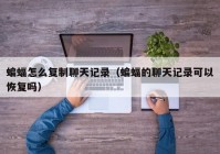蝙蝠怎么复制聊天记录（蝙蝠的聊天记录可以恢复吗）