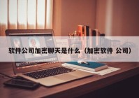 软件公司加密聊天是什么（加密软件 公司）