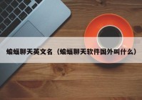 蝙蝠聊天英文名（蝙蝠聊天软件国外叫什么）