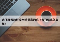 大飞聊天软件安全吗是真的吗（大飞信息怎么样）
