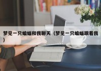 梦见一只蝙蝠和我聊天（梦见一只蝙蝠跟着我）