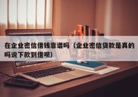 在企业密信借钱靠谱吗（企业密信贷款是真的吗说下款到借呗）