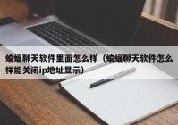 蝙蝠聊天软件里面怎么样（蝙蝠聊天软件怎么样能关闭ip地址显示）