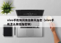 vivo手机如何微信聊天加密（vivo手机怎么微信加密锁）