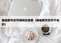 蝙蝠聊天软件瞬间在哪里（蝙蝠聊天软件干啥的）