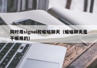 同时用signal和蝙蝠聊天（蝙蝠聊天是干嘛用的）