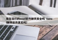 现在流行的soul软件聊天安全吗（soul聊天软件真实吗）