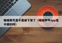 蝙蝠聊天是不是被下架了（蝙蝠聊天app是中国的吗）
