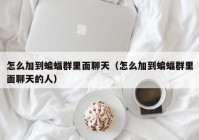 怎么加到蝙蝠群里面聊天（怎么加到蝙蝠群里面聊天的人）