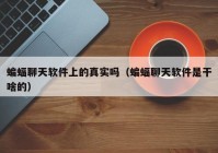 蝙蝠聊天软件上的真实吗（蝙蝠聊天软件是干啥的）