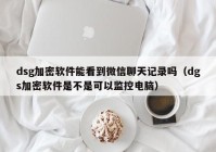 dsg加密软件能看到微信聊天记录吗（dgs加密软件是不是可以监控电脑）