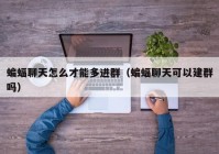 蝙蝠聊天怎么才能多进群（蝙蝠聊天可以建群吗）