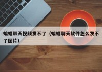 蝙蝠聊天视频发不了（蝙蝠聊天软件怎么发不了图片）
