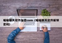 蝙蝠聊天软件加密com（蝙蝠聊天软件解锁密码）