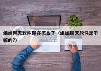 蝙蝠聊天软件现在怎么了（蝙蝠聊天软件是干嘛的?）