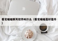 看见蝙蝠聊天软件叫什么（看见蝙蝠是好是坏）